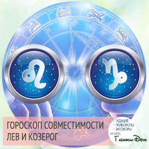 Лев і Козеріг сумісність жінок і чоловіків цих знаків у відносинах, любові, шлюбі і дружбі