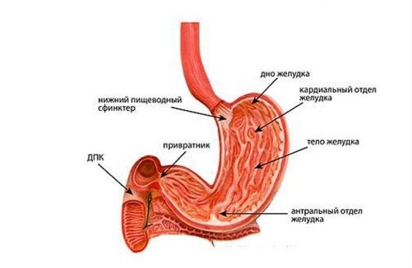 Хронічний гастрит - причини і профілактика