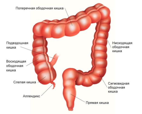 Неспецифічний виразковий коліт кишечника: причини і клінічні рекомендації