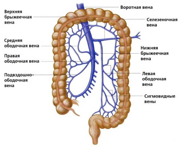 Ішемічний коліт кишечника