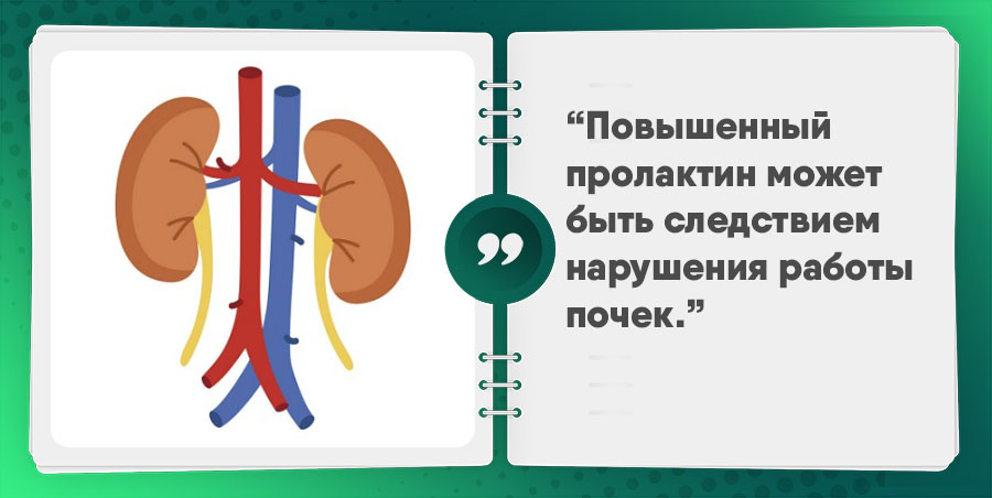 Підвищений пролактин у жінок: причини і симптоми