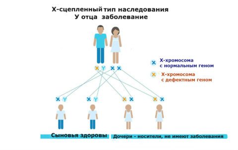 Причини анемії Фанконі і можливі наслідки